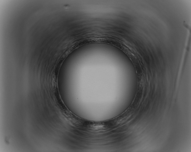 X0000091980651200709061153