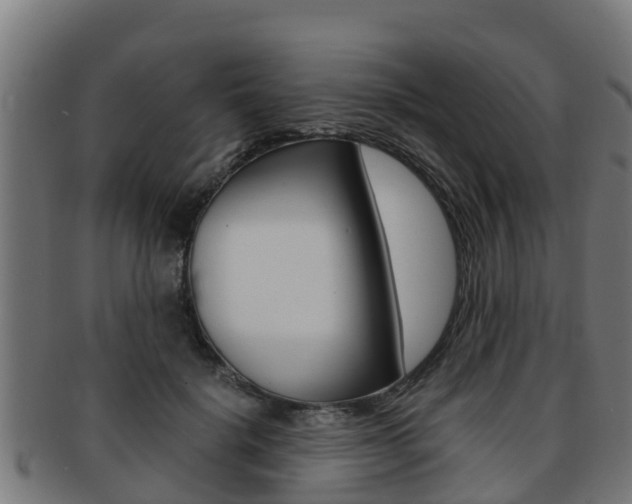 X0000091980652200709061153