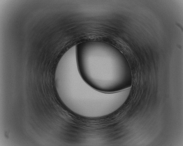 X0000091980653200709061153