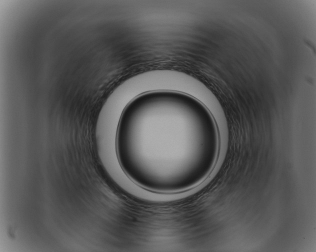 X0000091980654200709061153