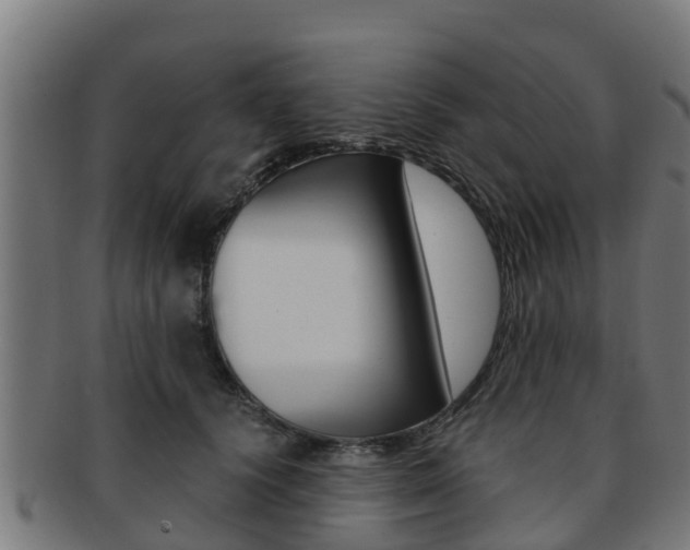X0000091980656200709061153
