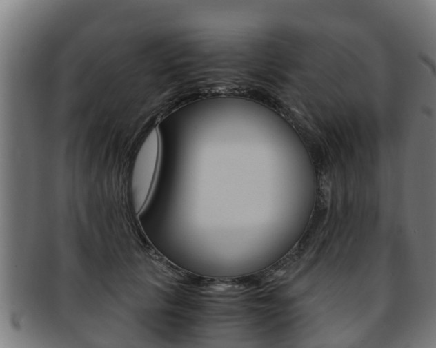 X0000091980657200709061153