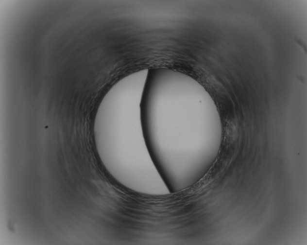 X0000091980659200709061153