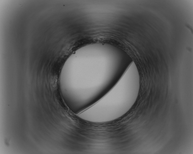 X0000091980660200709061153