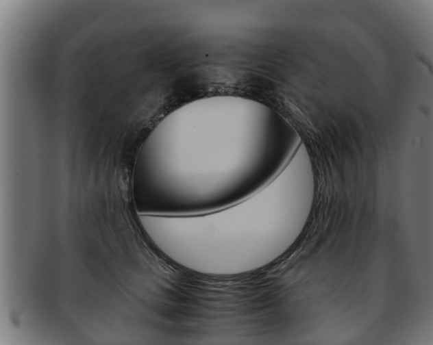 X0000091980661200709061153