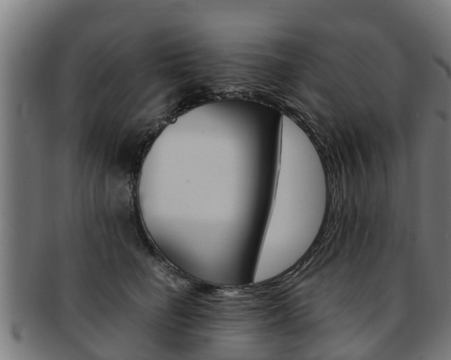 X0000091980662200709061153