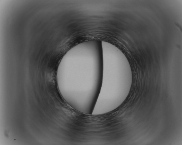 X0000091980663200709061153