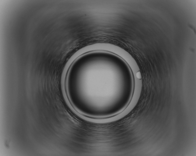 X0000091980664200709061153