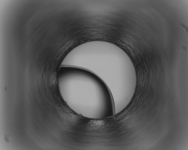 X0000091980665200709061153