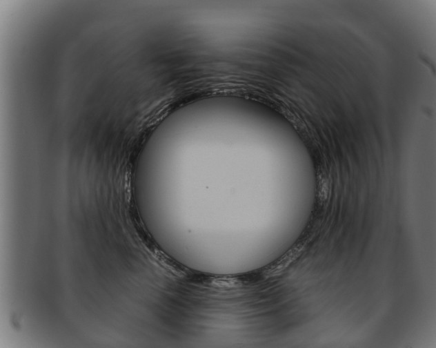 X0000091980666200709061153