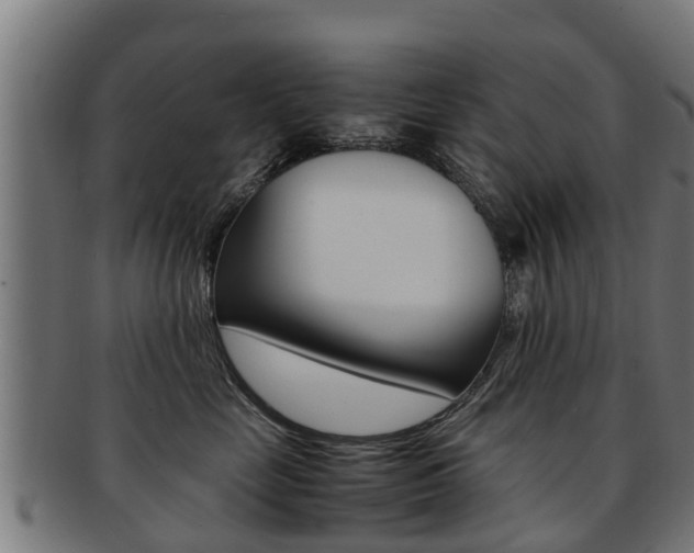 X0000091980669200709061153