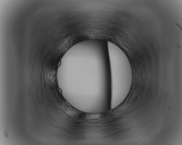X0000091980671200709061153