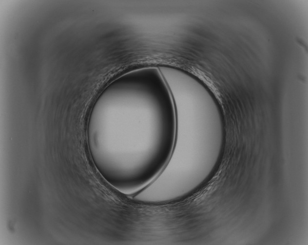 X0000091980673200709061153