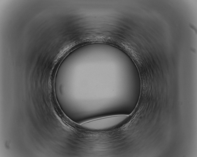 X0000091980674200709061153