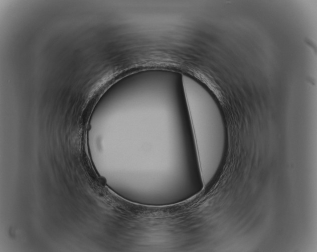X0000091980675200709061153