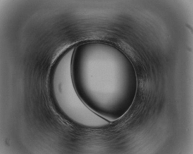 X0000091980676200709061153