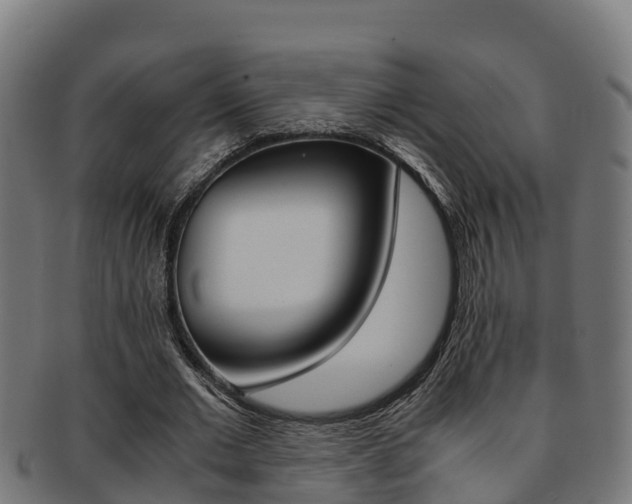 X0000091980677200709061153