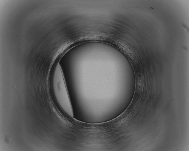 X0000091980678200709061153