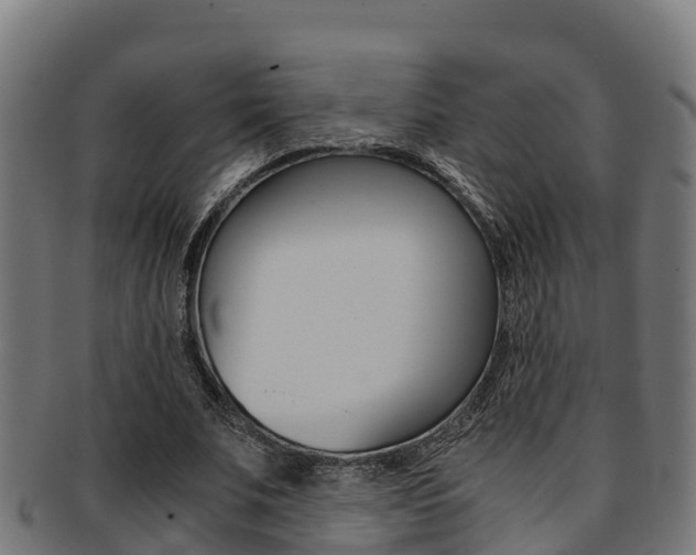 X0000091980679200709061153