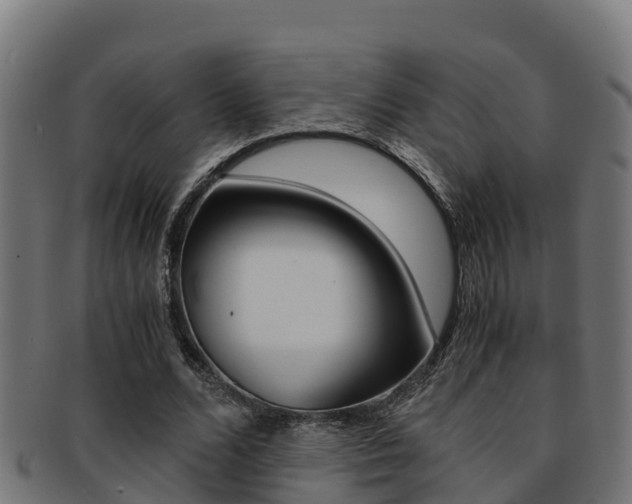 X0000091980680200709061153