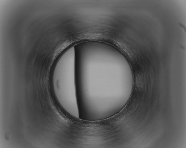 X0000091980682200709061153