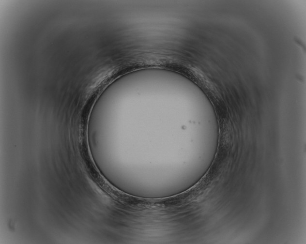 X0000091980683200709061153