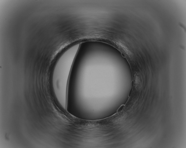 X0000091980684200709061153