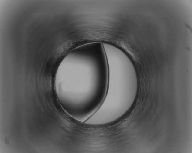 X0000091980685200709061153