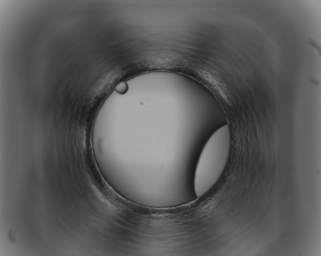 X0000091980686200709061153