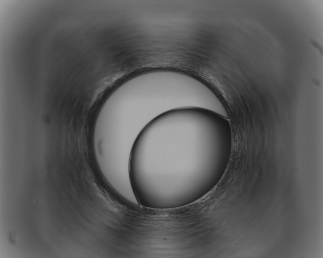 X0000091980688200709061153