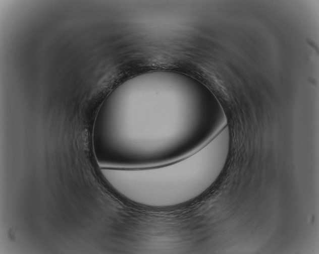 X0000091980689200709061153
