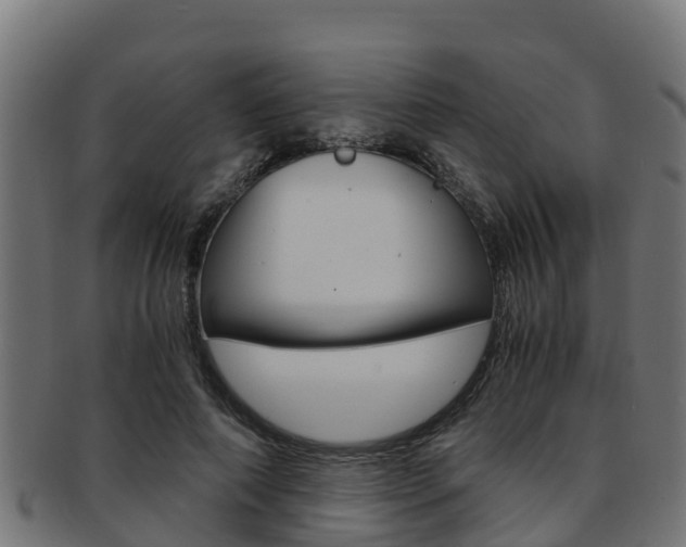 X0000091980690200709061153