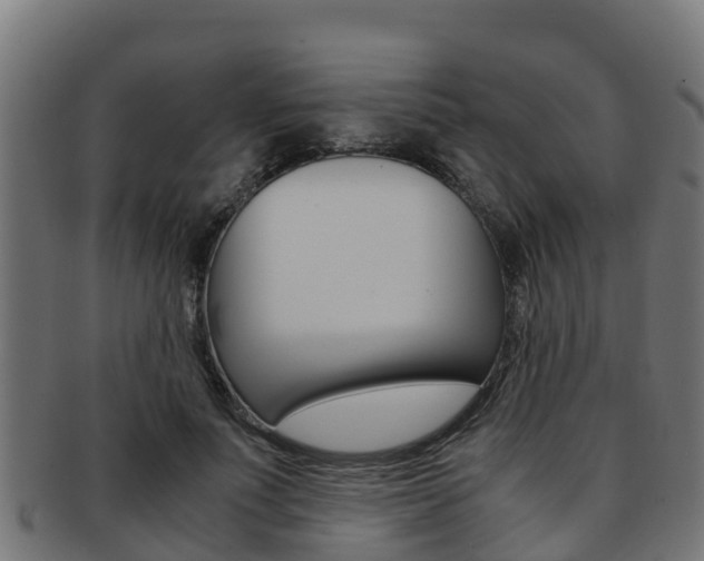 X0000091980691200709061153