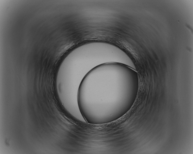 X0000091980692200709061153