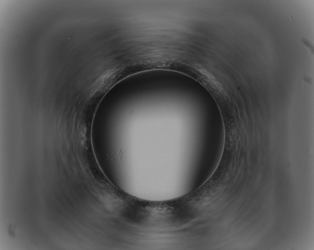 X0000091980693200709061153