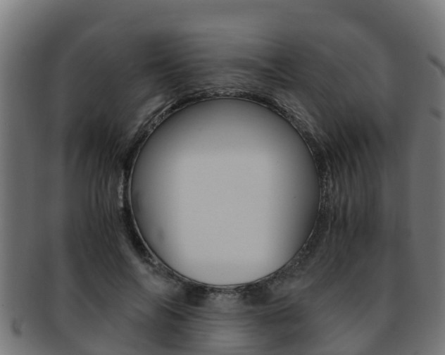 X0000091980694200709061153