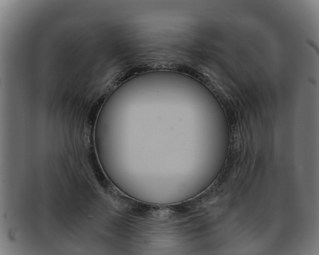 X0000091980695200709061153