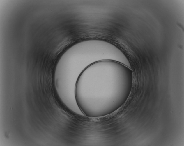 X0000091980696200709061152