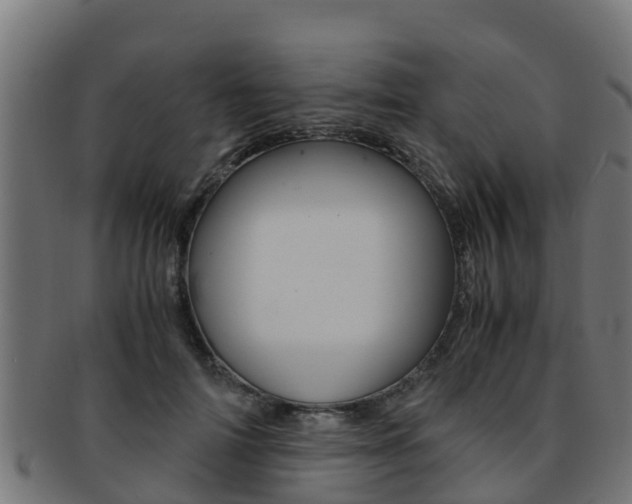 X0000091980698200709061152