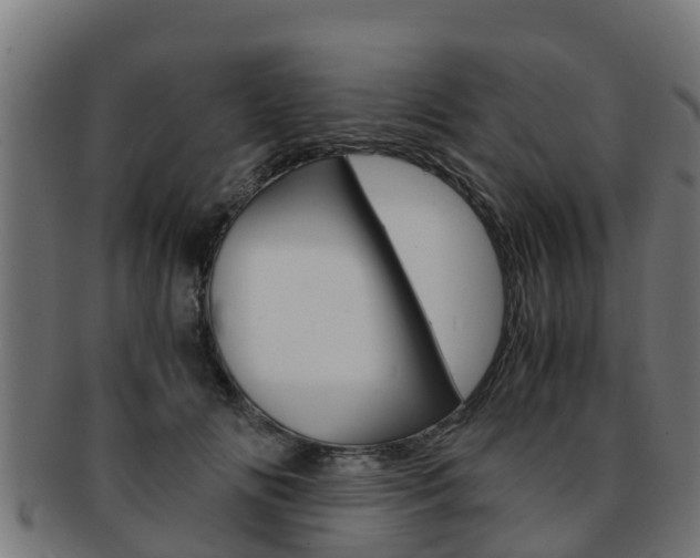 X0000091980702200709061152