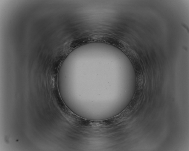 X0000091980703200709061152