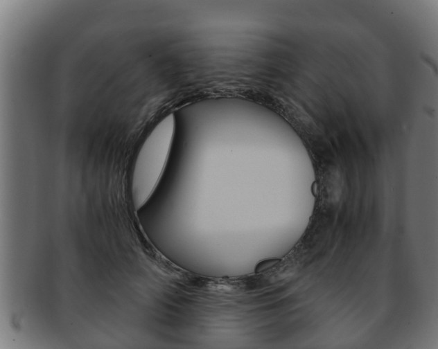 X0000091980706200709061152