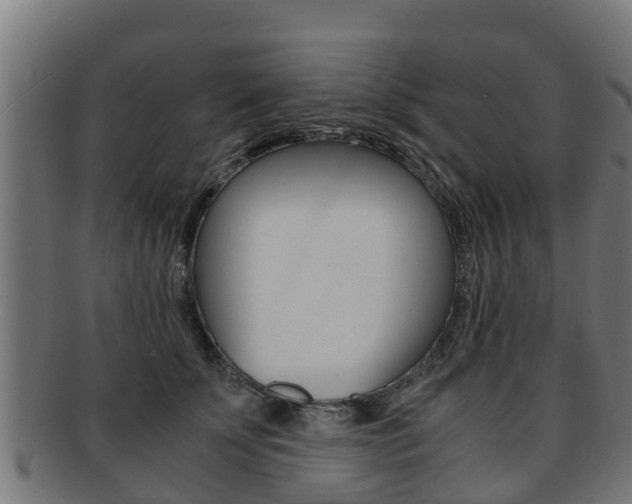 X0000091980707200709061152