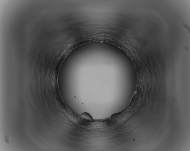 X0000091980708200709061152