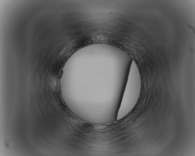 X0000091980709200709061152