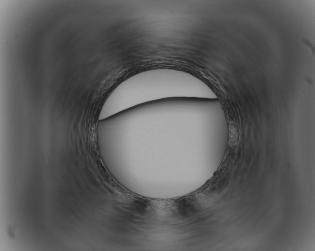 X0000091980713200709061152