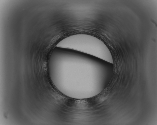 X0000091980714200709061152