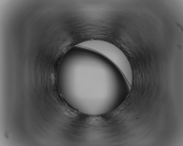 X0000091980716200709061152