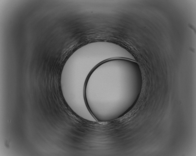 X0000091980720200709061152