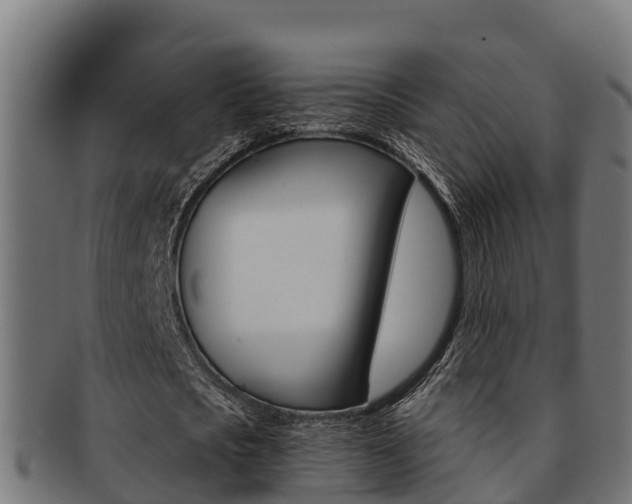 X0000091980721200709061152